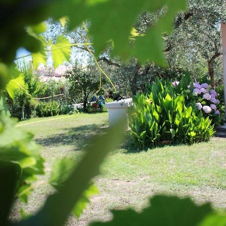 Villa Di Campagna Vicino Al Mare Orosei Exterior foto